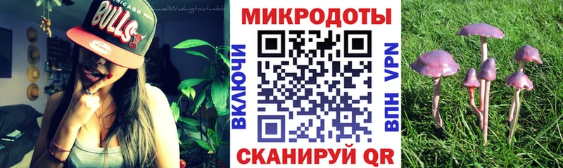 Псилоцибиновые грибы ЛСД Нахабино