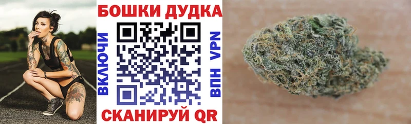 Канабис ГИДРОПОН Нахабино
